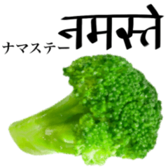 [LINEスタンプ] 水々しいブロッコリー 【ヒンディー語】