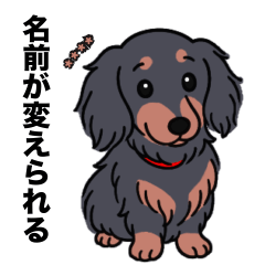 [LINEスタンプ] 名前入りダックスロングブラタン