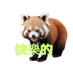 [LINEスタンプ] レッサーパンダ C