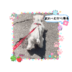 [LINEスタンプ] いつものリカちゃん 