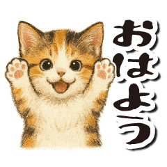 [LINEスタンプ] 毎日送りやすい♪子猫の日常フレーズ