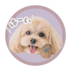 [LINEスタンプ] マルプージェマのよく使う言葉編
