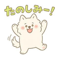 [LINEスタンプ] ふわもこサモエドのまいにちスタンプ