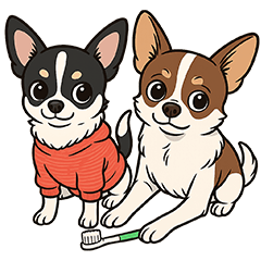 [LINEスタンプ] チワワの可愛いイラストスタンプ