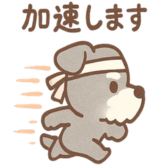 [LINEスタンプ] じわシュナの内に秘めた毎日スタンプ