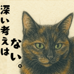 [LINEスタンプ] サビ猫のしずくちゃんスタンプ