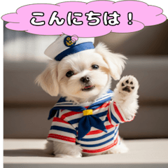 [LINEスタンプ] ふわふわマルチーズの毎日スタンプ