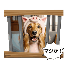 [LINEスタンプ] 毎日使えるミニチュアダックススタンプ