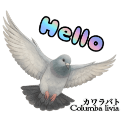 [LINEスタンプ] 世界の鳩2