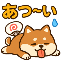 [LINEスタンプ] もちもち柴犬・夏まっさかり！