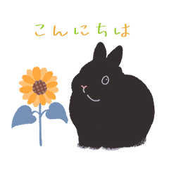 [LINEスタンプ] うさぎ 夏