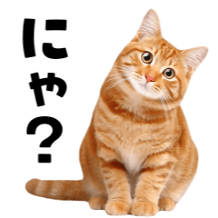 [LINEスタンプ] 動くっ！かわいい猫写真のアニメスタンプ