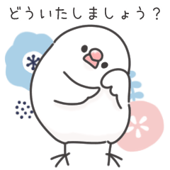 [LINEスタンプ] 敬語＊文鳥デイズのスタンプ