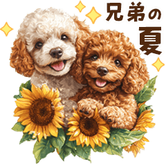 [LINEスタンプ] 夏を楽しむトイプードル兄弟