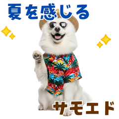 [LINEスタンプ] もふっとサモエド★夏スタンプ