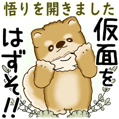 [LINEスタンプ] 柴犬 2025 「悟りました」