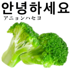 [LINEスタンプ] みずみずしいブロッコリー【韓国語】