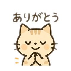 [LINEスタンプ] ゆるかわ猫 日本語 