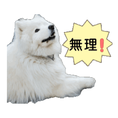 [LINEスタンプ] 愛犬サモエド（part2） 