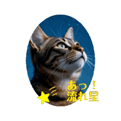 [LINEスタンプ] 猫達が 動くよ自然のなかで