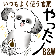 [LINEスタンプ] B＆Wシーズー犬  「飛び出す」よく使う言葉