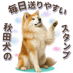 [LINEスタンプ] 秋田犬の毎日送りやすいスタンプ