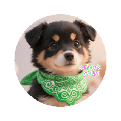 [LINEスタンプ] 黒豆柴シリーズ① fetchpriority=high