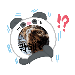 [LINEスタンプ] ベンガルらいくん韓国語 