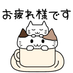 [LINEスタンプ] 毎日送りやすいネコのスタンプ