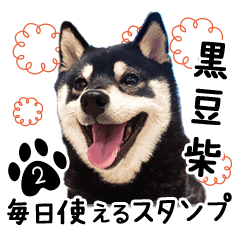 [LINEスタンプ] 毎日使える黒豆柴スタンプ2