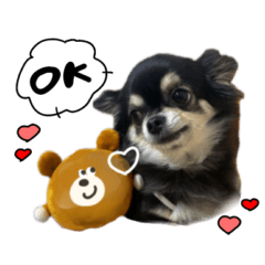 [LINEスタンプ] ▽▼ちわわのむぎちゃんすたんぷ▽▼