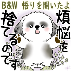 [LINEスタンプ] B＆W シーズー犬 2025 「悟りました」