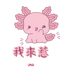 [LINEスタンプ] ウーパールーパーのゆるかわ日常