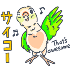 [LINEスタンプ] ウロコインコの日常で使えるスタンプ 