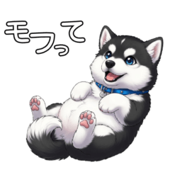 [LINEスタンプ] 日常に溶け込むマラミュート