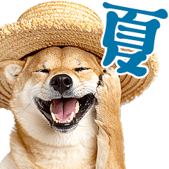 [LINEスタンプ] 夏わんとも！柴犬サマー（日常）