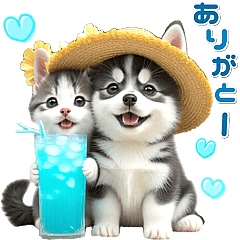 [LINEスタンプ] 夏 猛暑 酷暑♡シベリアンハスキーとネコ