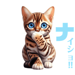 [LINEスタンプ] にゃんずベンガル
