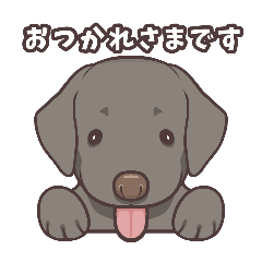 [LINEスタンプ] うちのイヌなど (ラブラドール＆チワワ)