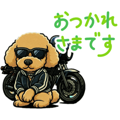[LINEスタンプ] ファンキー クーちゃん
