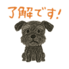 [LINEスタンプ] 黒シュナウザーのスタンプ①