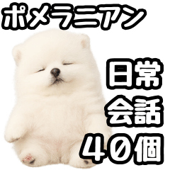 [LINEスタンプ] 日常会話verポメラニアンの子犬