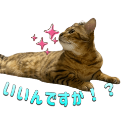 [LINEスタンプ] おちょらスタンプ No.3