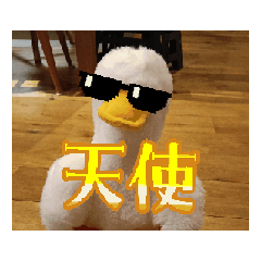 [LINEスタンプ] 使うことのないアヒルなんです 