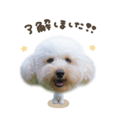 [LINEスタンプ] そら坊.2