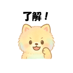 [LINEスタンプ] カラフルポメラニアン(通常)