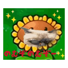 [LINEスタンプ] お酒とネコ好きな日常会話 41 