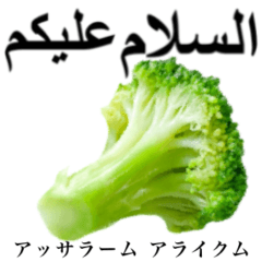 [LINEスタンプ] みずみずしいブロッコリー【アラビア語】