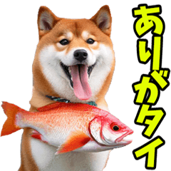 [LINEスタンプ] ダジャレ☆柴犬