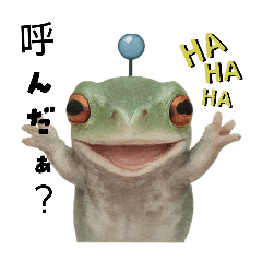 [LINEスタンプ] わが家のカエル